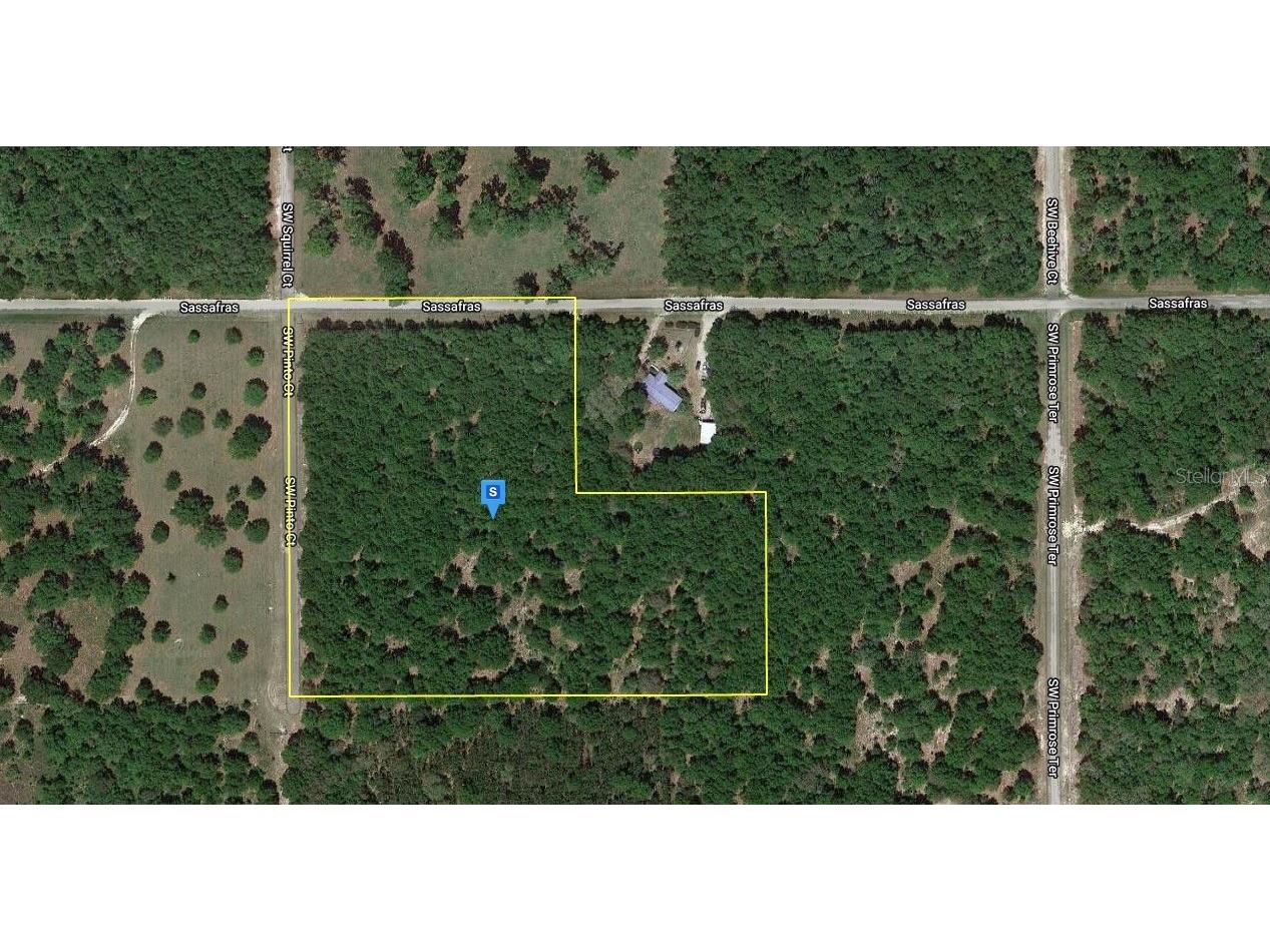 750 SW Sassafras Street Fort White FL 32038 A4578984 image1