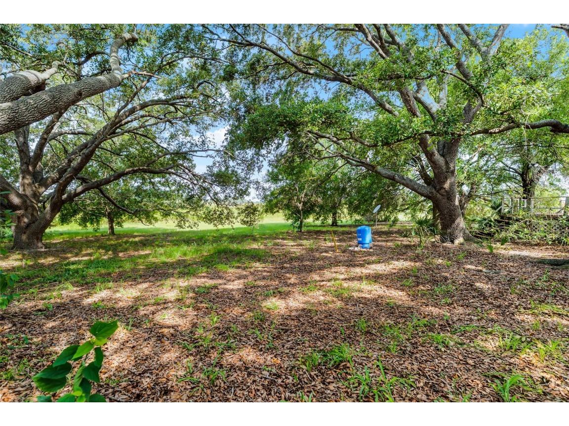 7500 Lake Lowery Road Haines City FL 33844 O6329522 image34