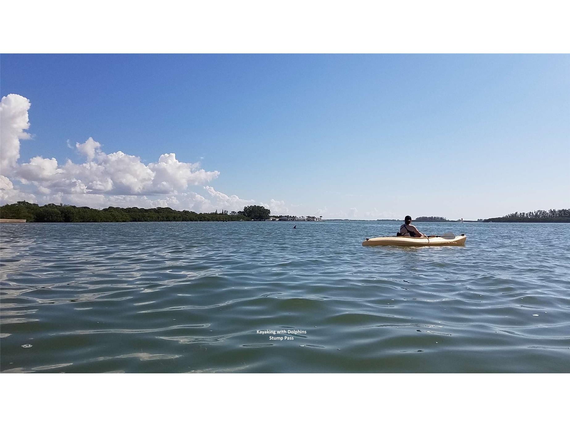 7500 Park Pointe Drive #42 Englewood FL 34224 D6145519 image18