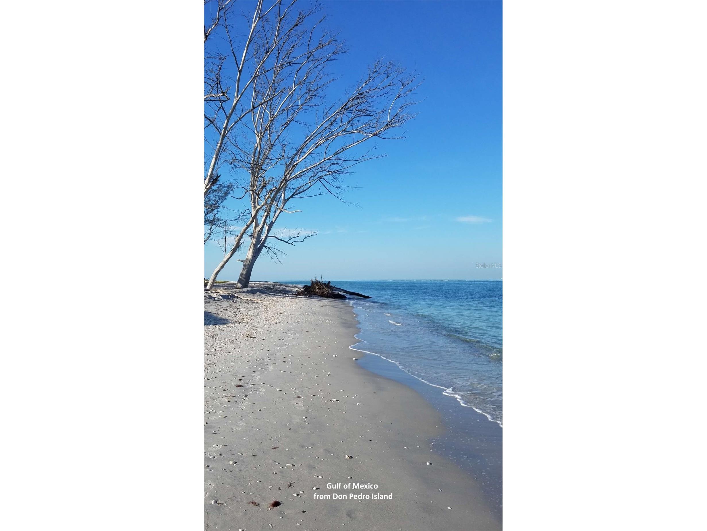 7500 Park Pointe Drive #42 Englewood FL 34224 D6145519 image31