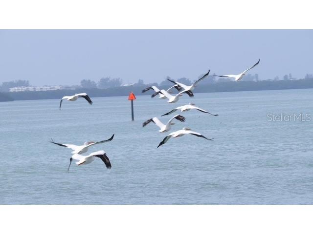 7500 Park Pointe Drive #52 Englewood FL 34224 - LEMON BAY/INTRACOASTAL D6146548 image25