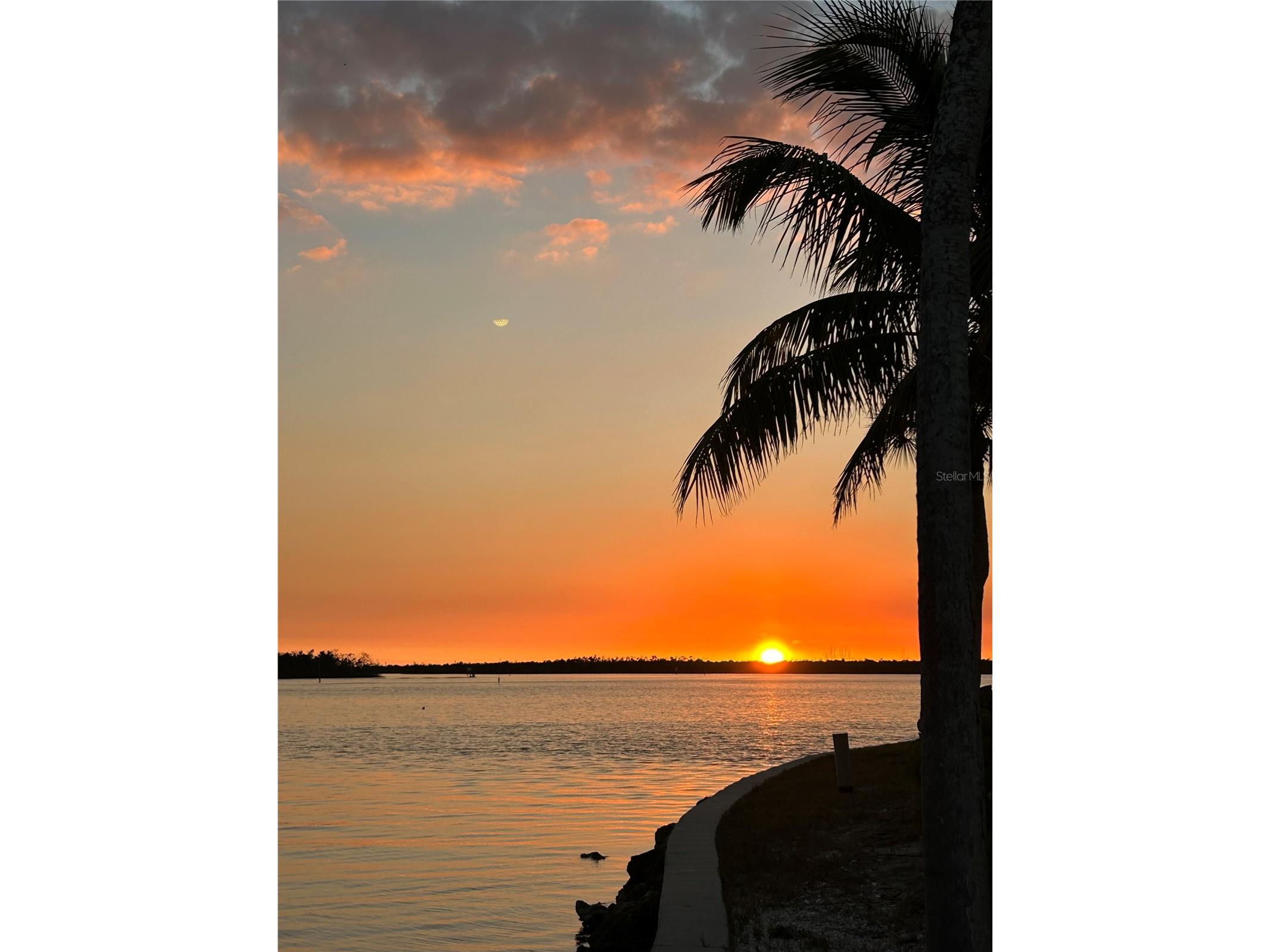 7500 Park Pointe Drive #52 Englewood FL 34224 - LEMON BAY/INTRACOASTAL D6146548 image32