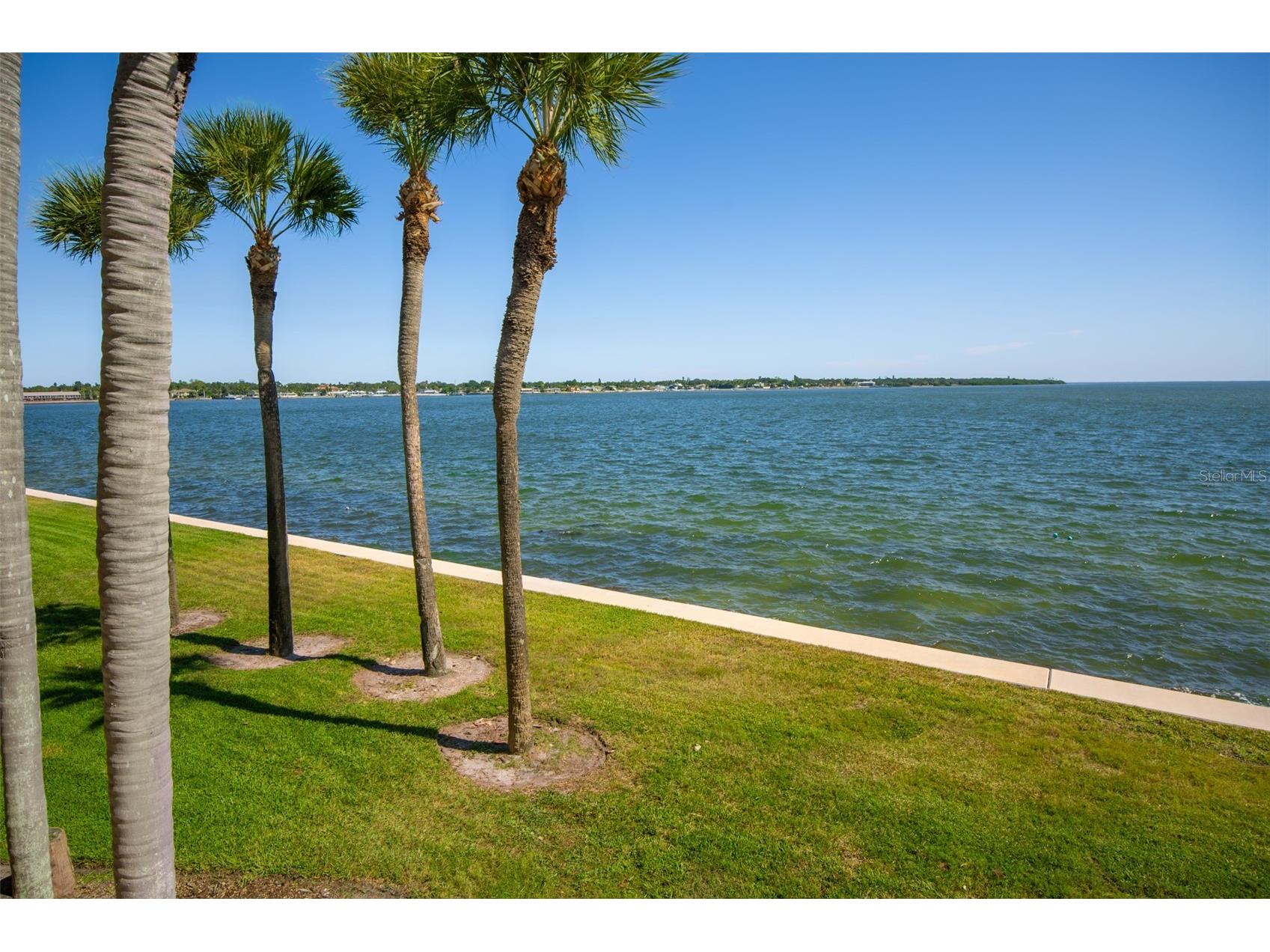 7500 Sunshine Skyway Lane S #104 Saint Petersburg FL 33711 - TAMPA BAY TB8464420 image23