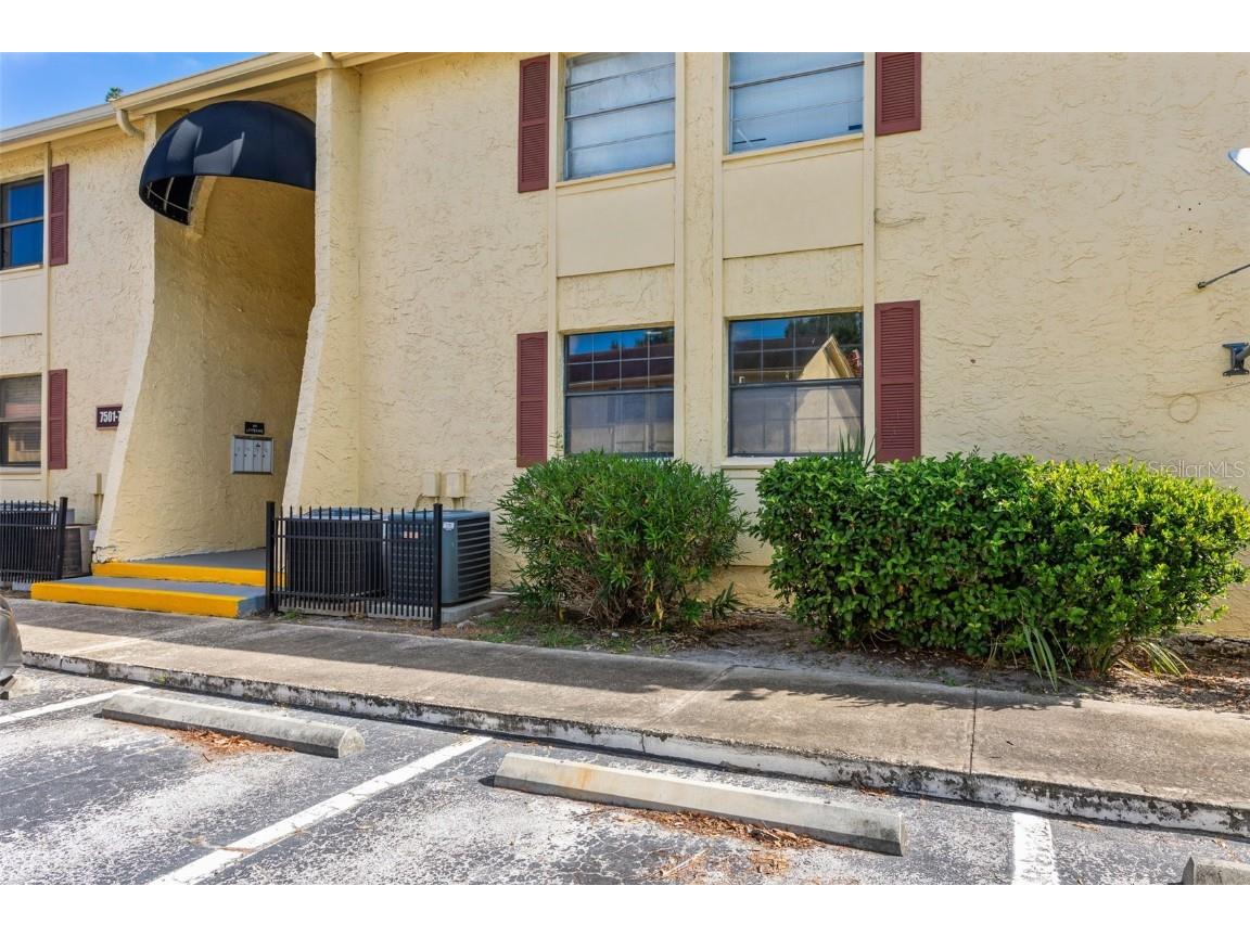 7501 Dolonita Drive Tampa FL 33615 TB8441106 image2