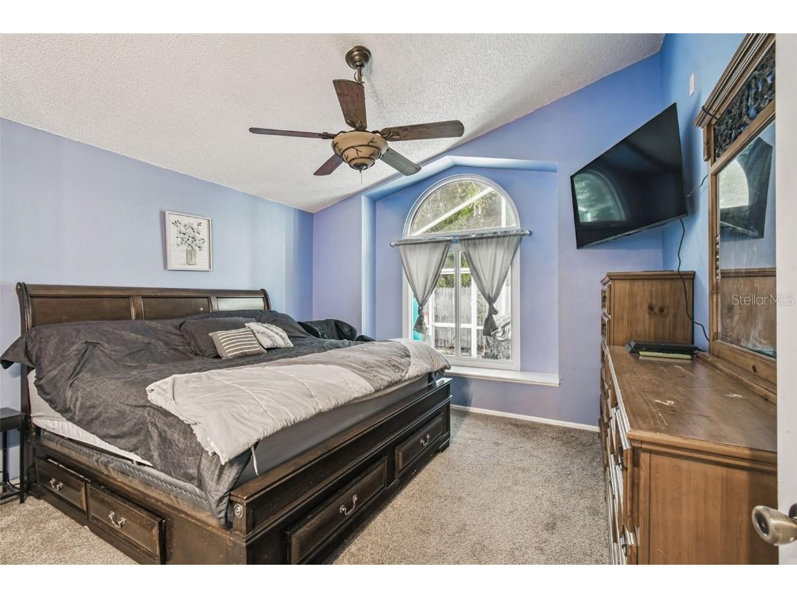 7501 Fawn Lake Road New Port Richey FL 34655 W7880451 image17