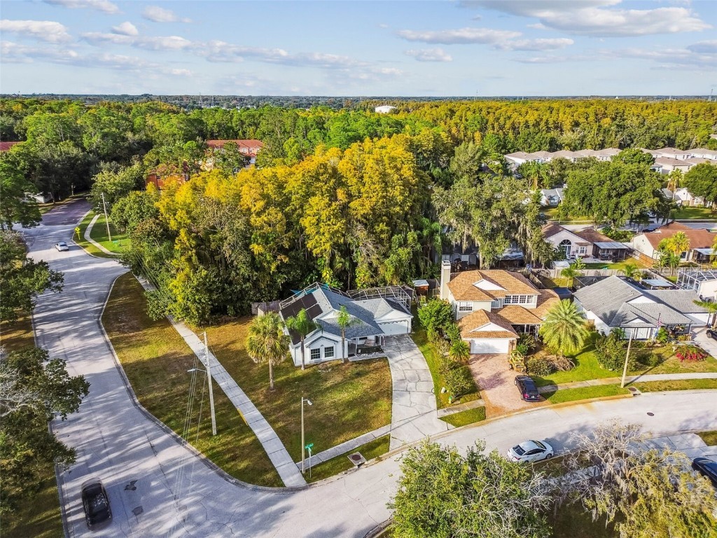 7501 Fawn Lake Road New Port Richey FL 34655 W7880451 image3