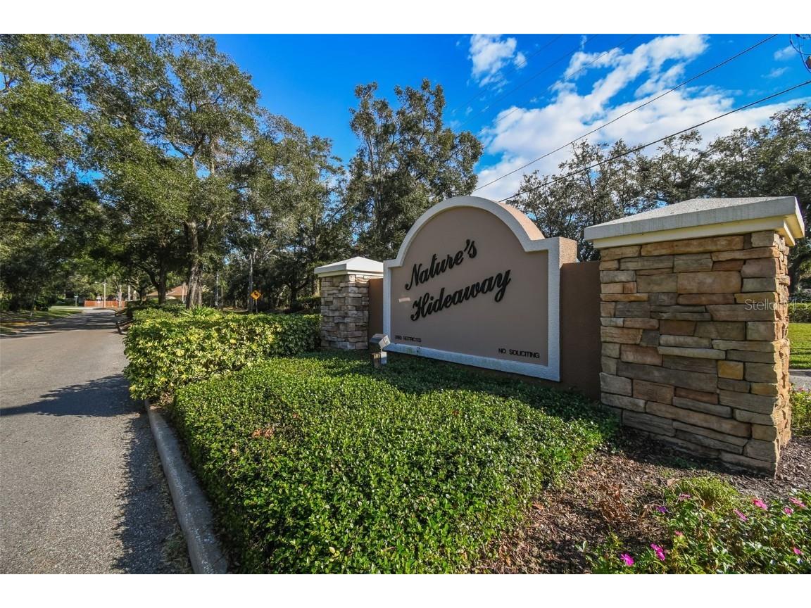 7501 Fawn Lake Road New Port Richey FL 34655 W7880451 image4