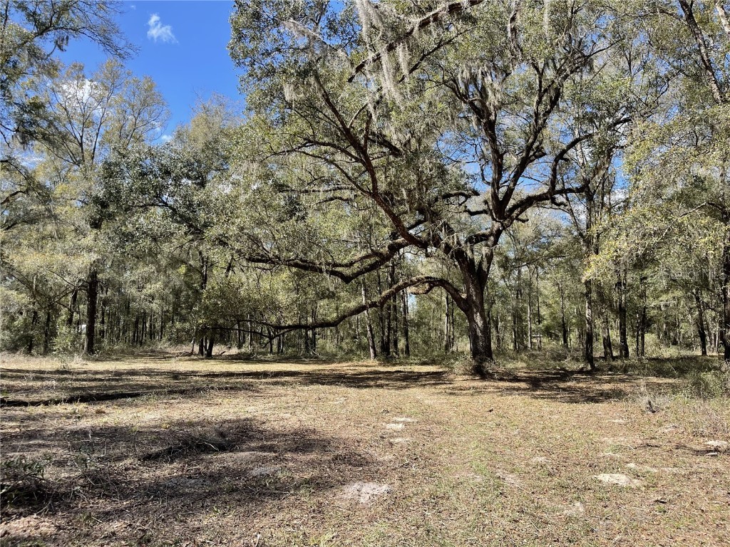 7501 SW 137th Avenue Archer FL 32618 GC511348 image1