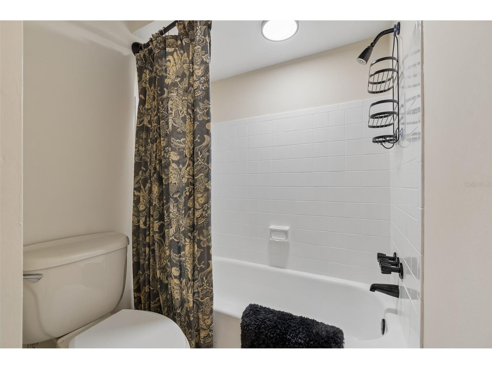 7501 Woodbox Row Hudson FL 34667 TB8488760 image31