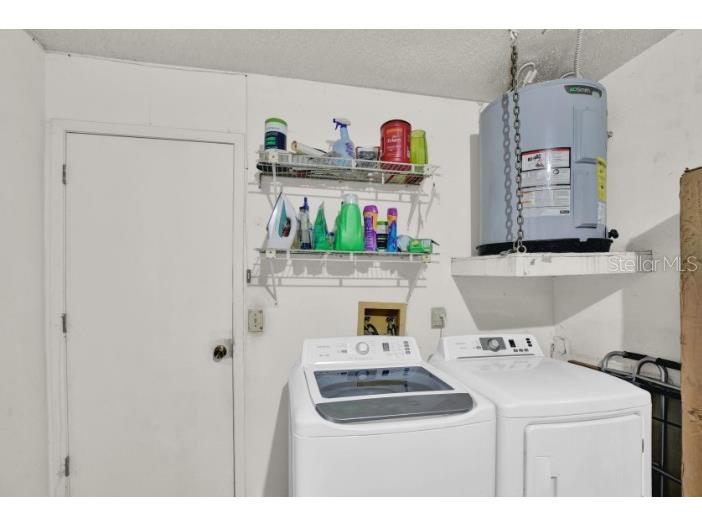 7502 Gadsden Drive Temple Terrace FL 33637 TB8439154 image17