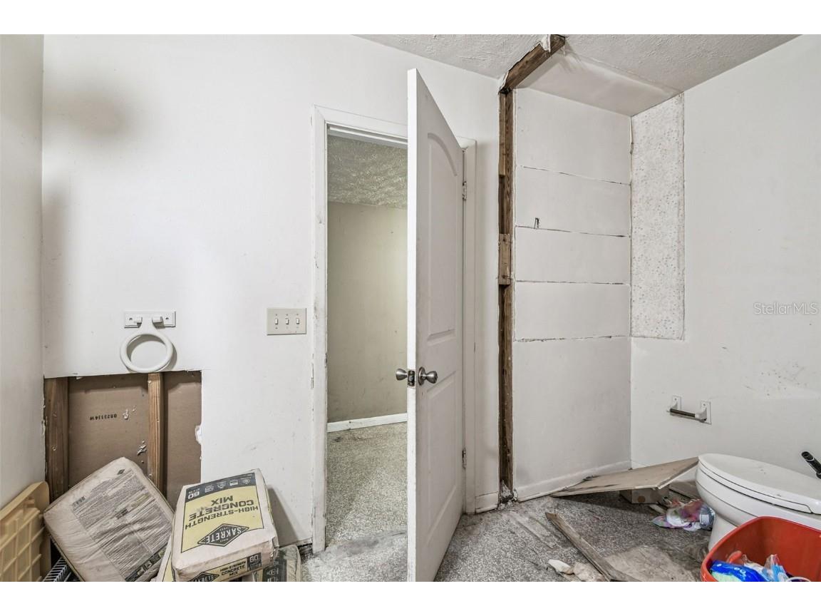 7502 Lone Star Place Riverview FL 33578 TB8449993 image35