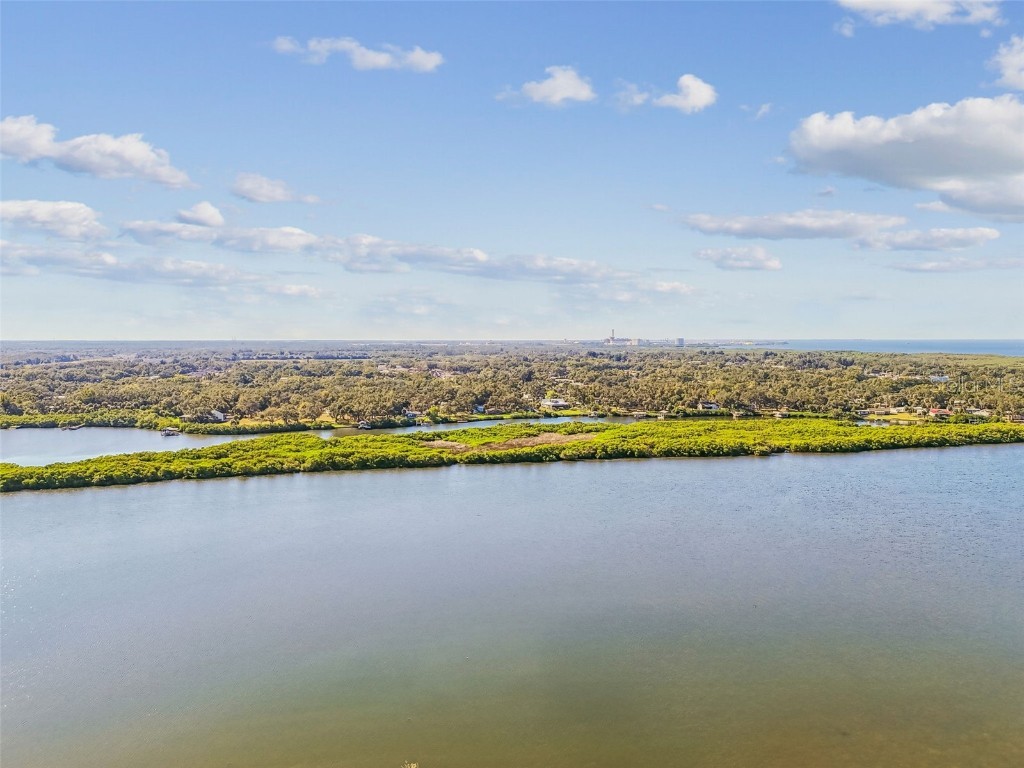 7502 Lone Star Place Riverview FL 33578 TB8449993 image59