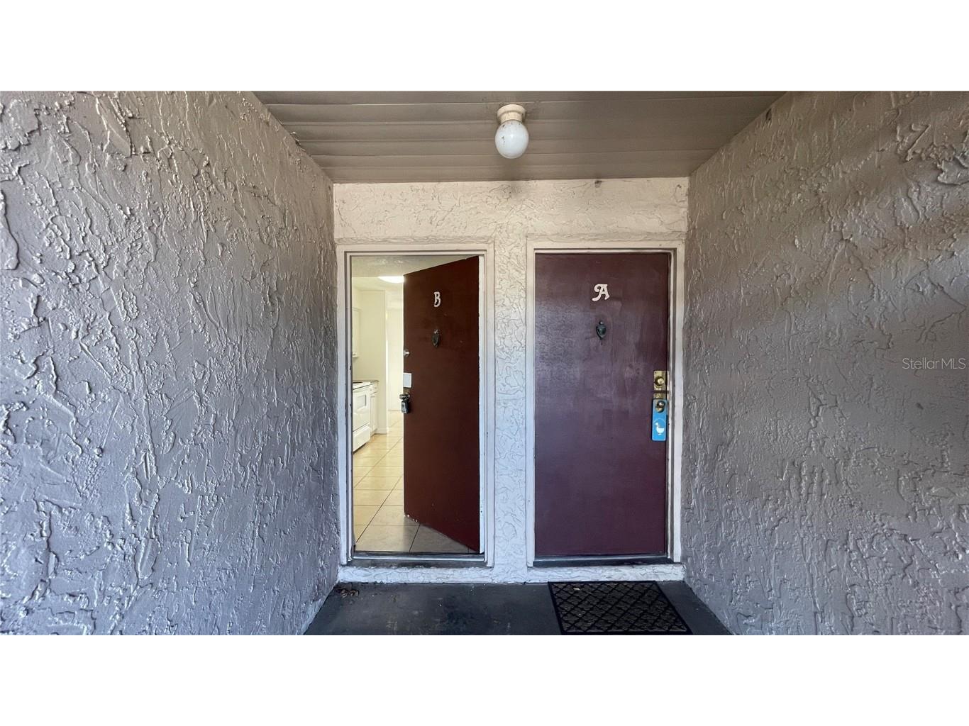 7502 Needle Leaf Place #66 Tampa FL 33617 O6088792 image1