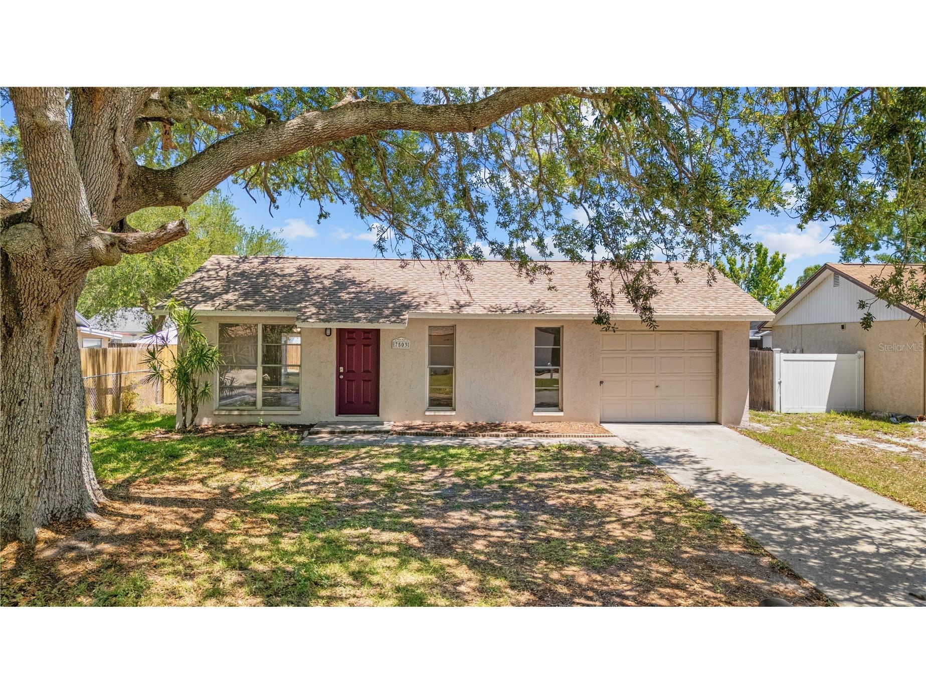 7503 Culver Lane New Port Richey FL 34655 TB8506803 image2