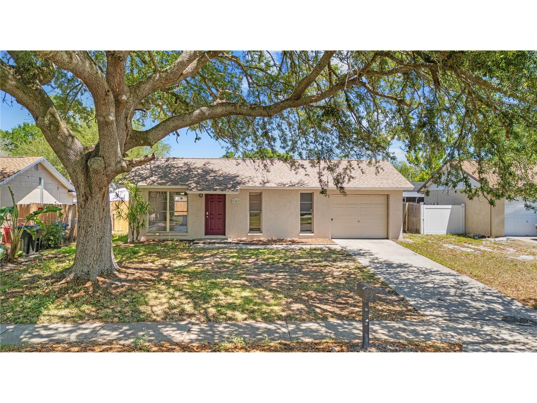 7503 Culver Lane New Port Richey FL 34655 TB8506803 image3