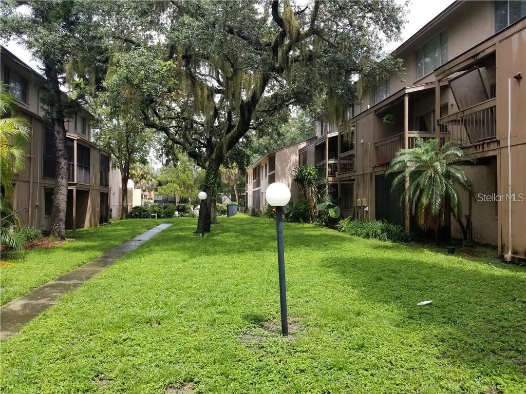 7504 Needle Leaf Place #68 Tampa FL 33617 O6393917 image1