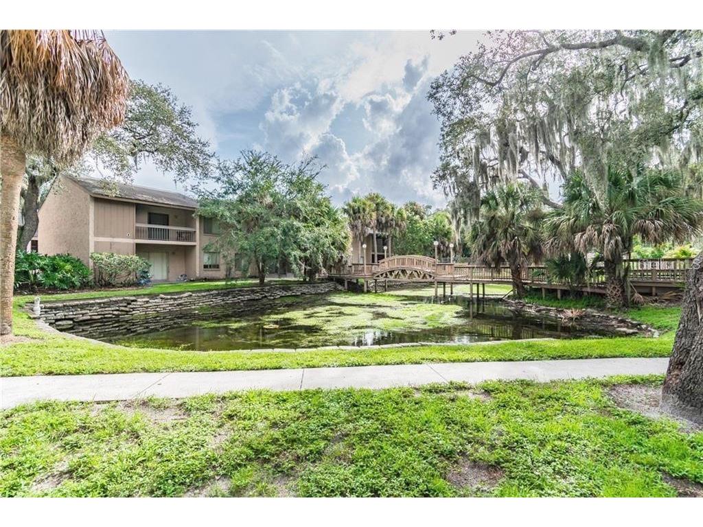 7504 Needle Leaf Place #68 Tampa FL 33617 O6393917 image28