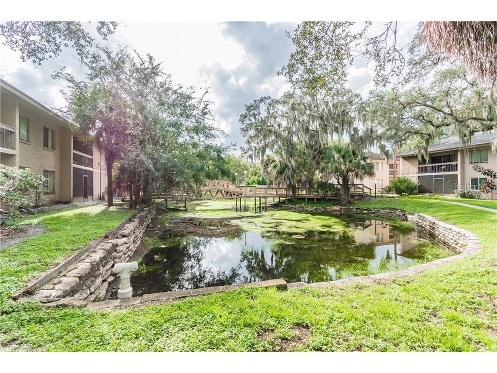 7504 Needle Leaf Place #68 Tampa FL 33617 O6393917 image29