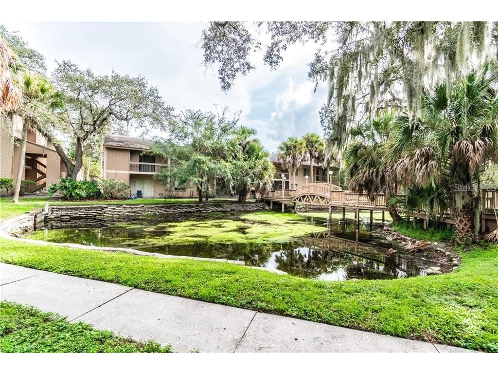 7504 Needle Leaf Place #68 Tampa FL 33617 O6393917 image30
