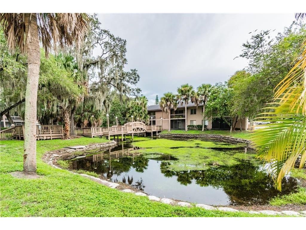 7504 Needle Leaf Place #68 Tampa FL 33617 O6393917 image31