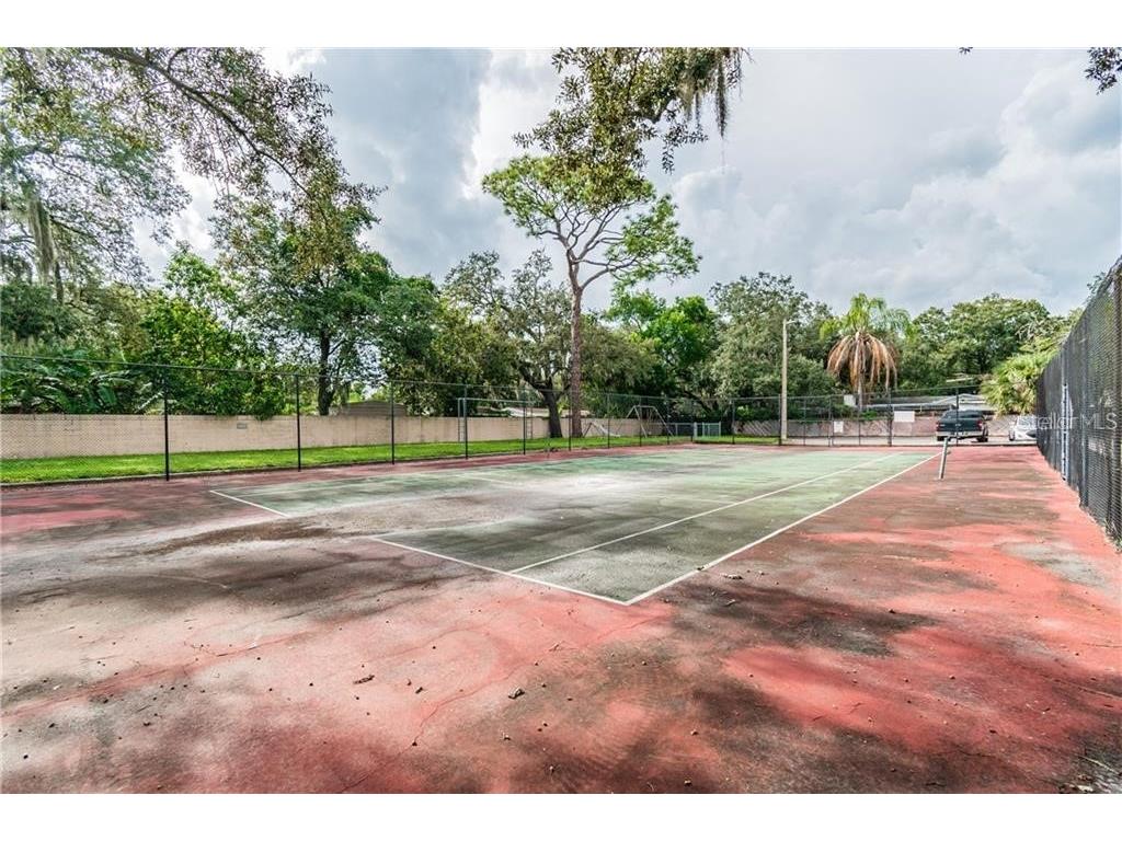 7504 Needle Leaf Place #68 Tampa FL 33617 O6393917 image33
