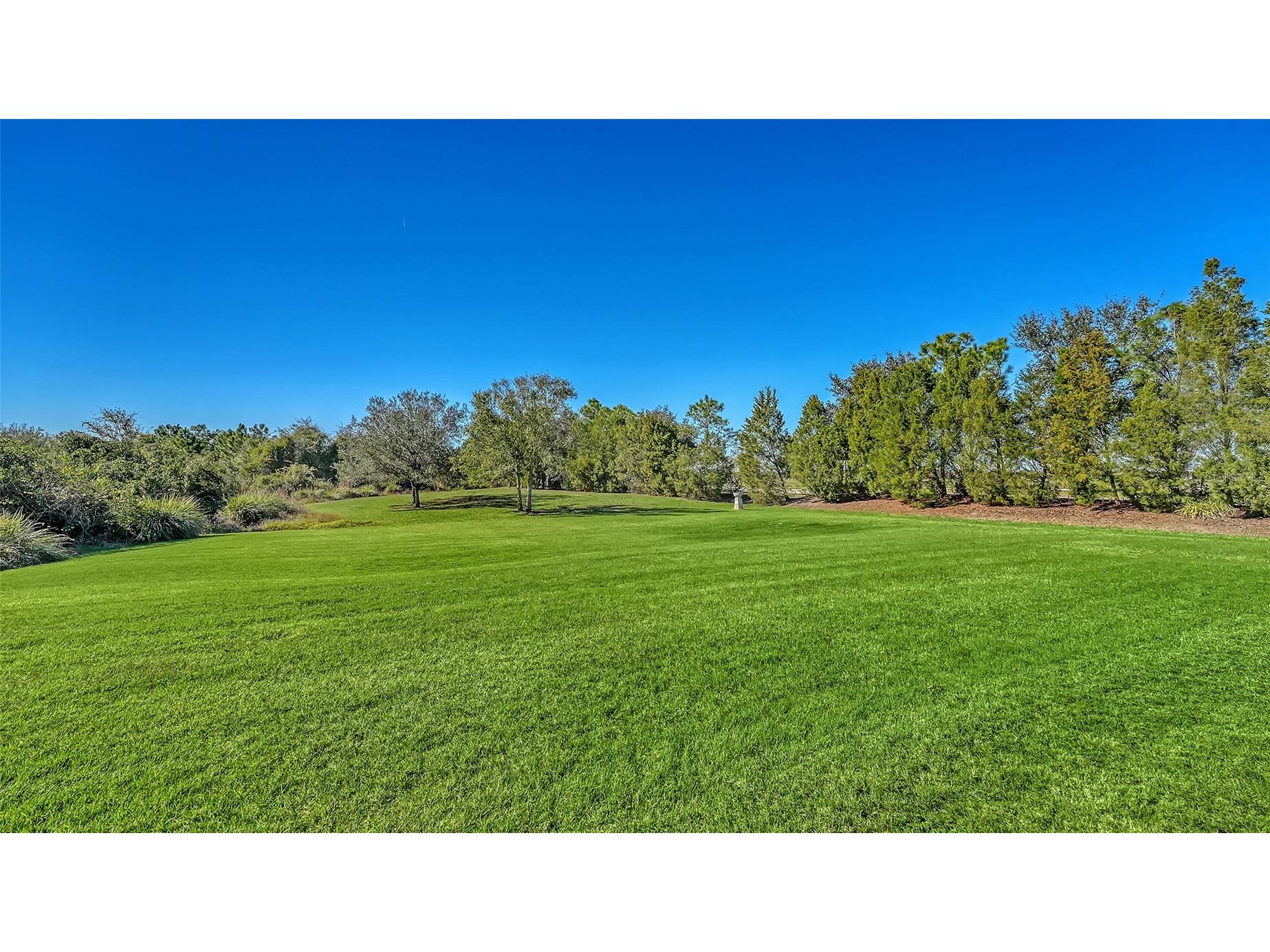 7504 Windy Hill Cove Lakewood Ranch FL 34202 A4677125 image48