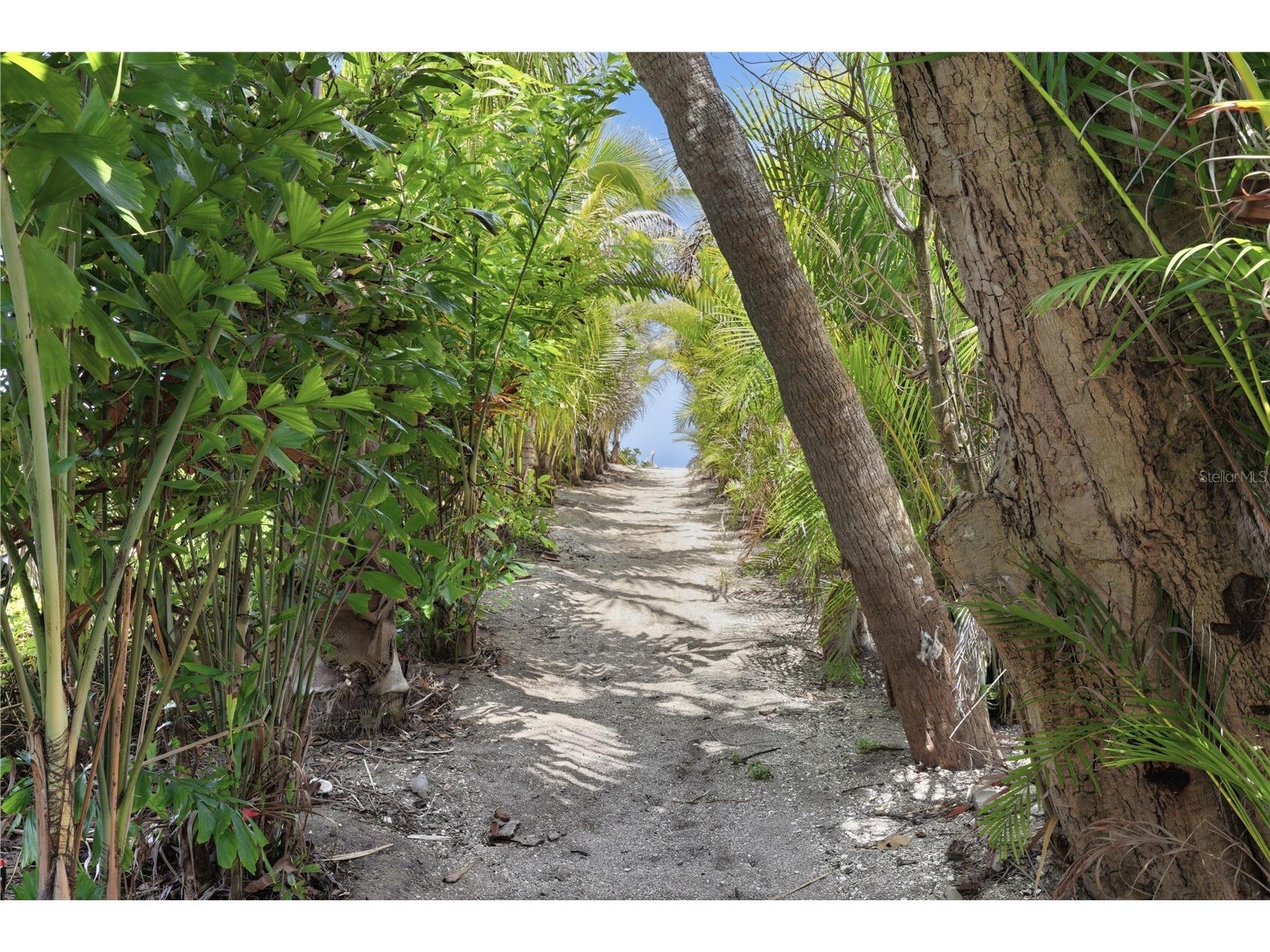 7505 Manasota Key Rd Englewood FL 34223 - LEMON BAY/INTRACOASTAL WATERWA D6142587 image38