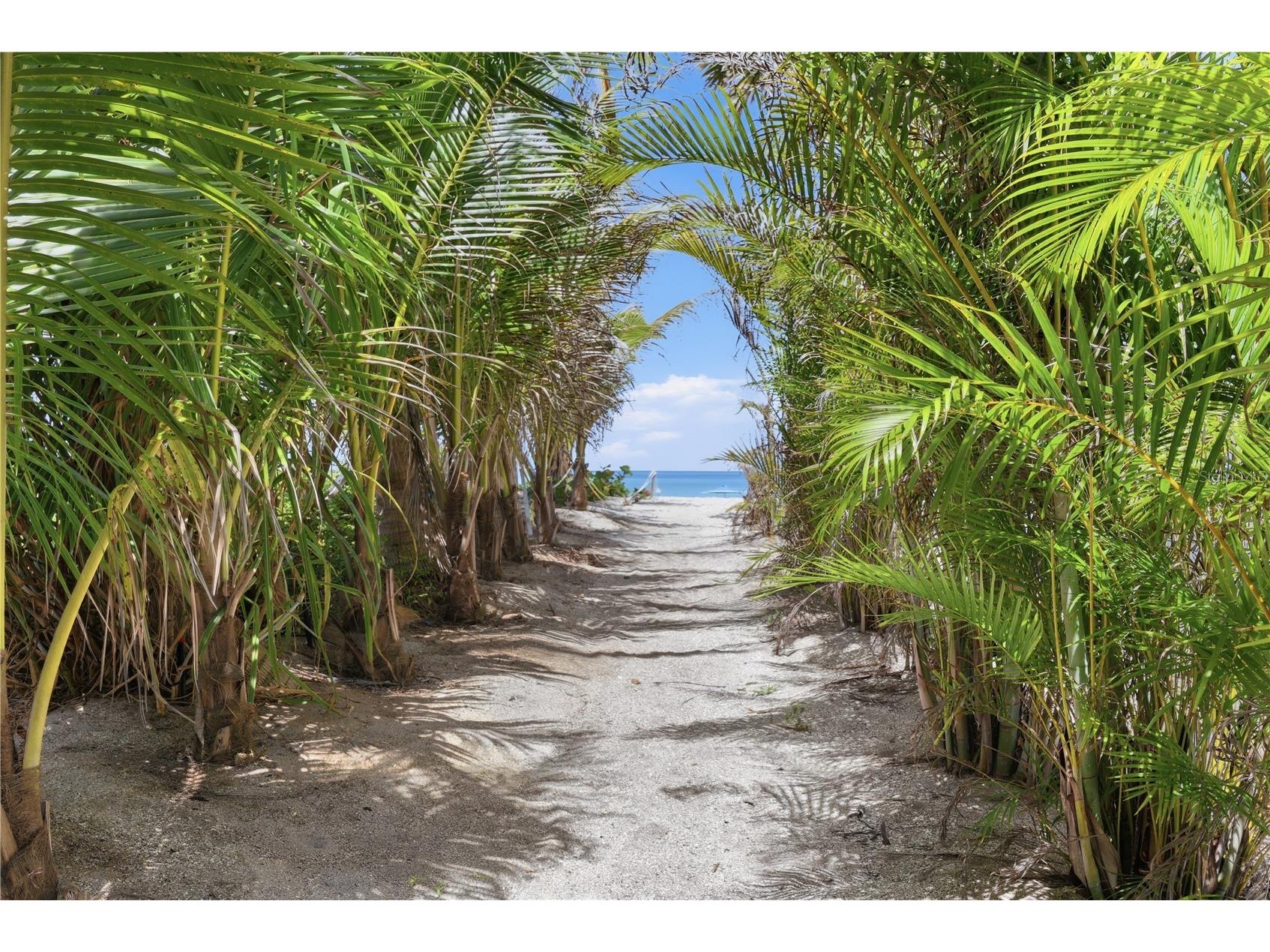 7505 Manasota Key Rd Englewood FL 34223 - LEMON BAY/INTRACOASTAL WATERWA D6142587 image39