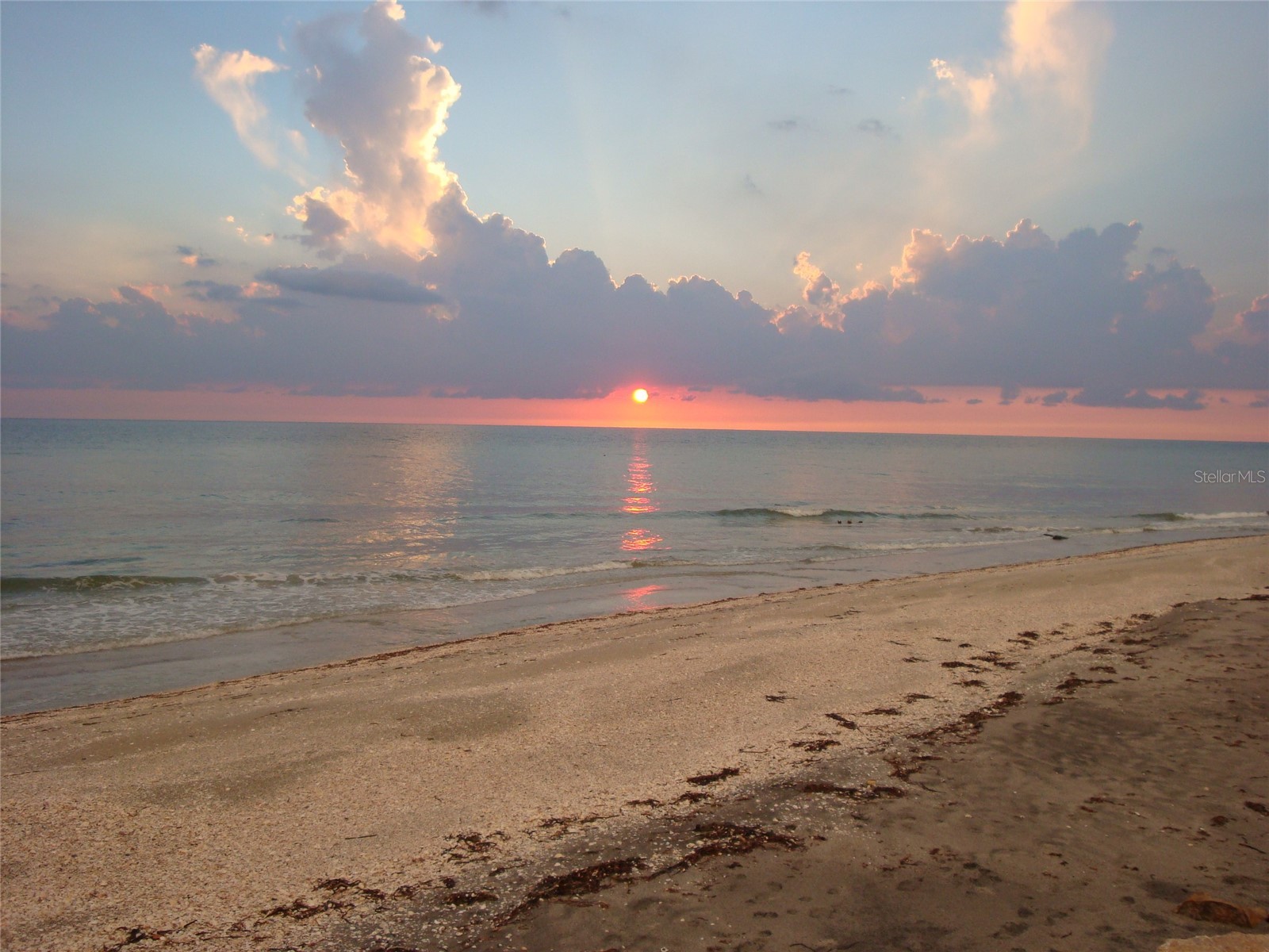 7505 Manasota Key Rd Englewood FL 34223 - LEMON BAY/INTRACOASTAL WATERWA D6142587 image48