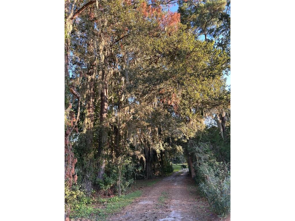 7505 NW 137th Avenue Morriston FL 32668 OM712254 image4