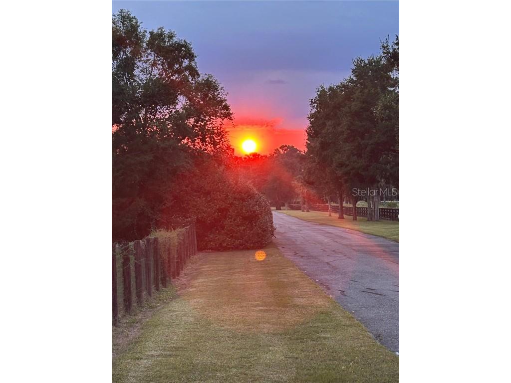 7505 NW 137th Avenue Morriston FL 32668 OM712254 image5