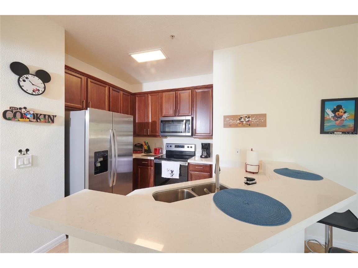 7505 Pellham Way Kissimmee FL 34747 O6244744 image13