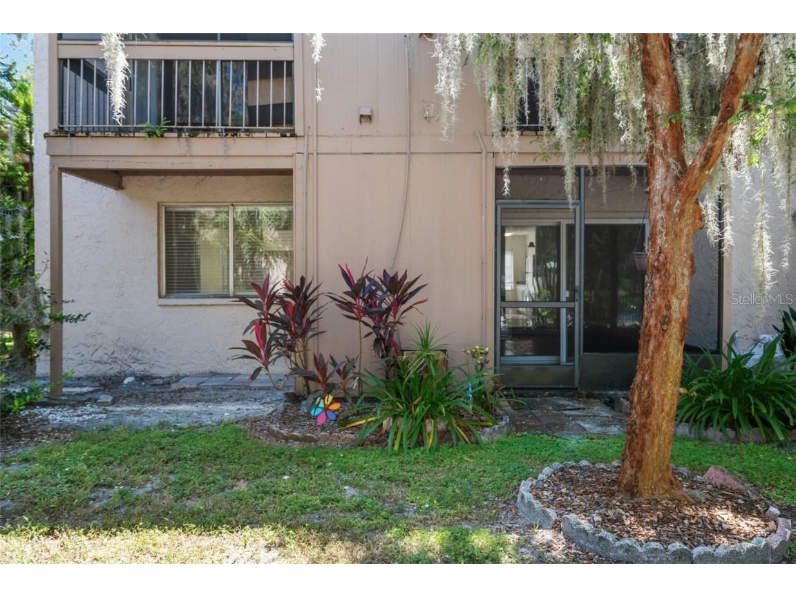 7505 Pitch Pine Circle #119 Tampa FL 33617 A4666550 image29