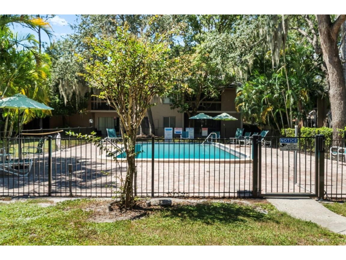 7505 Pitch Pine Circle #119 Tampa FL 33617 A4666550 image30