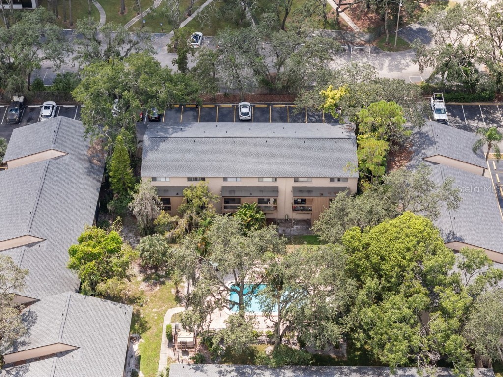 7505 Pitch Pine Circle #119 Tampa FL 33617 A4666550 image31