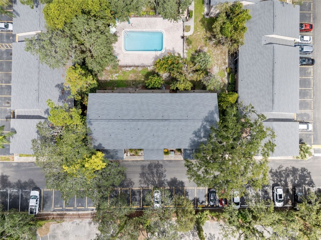 7505 Pitch Pine Circle #119 Tampa FL 33617 A4666550 image32