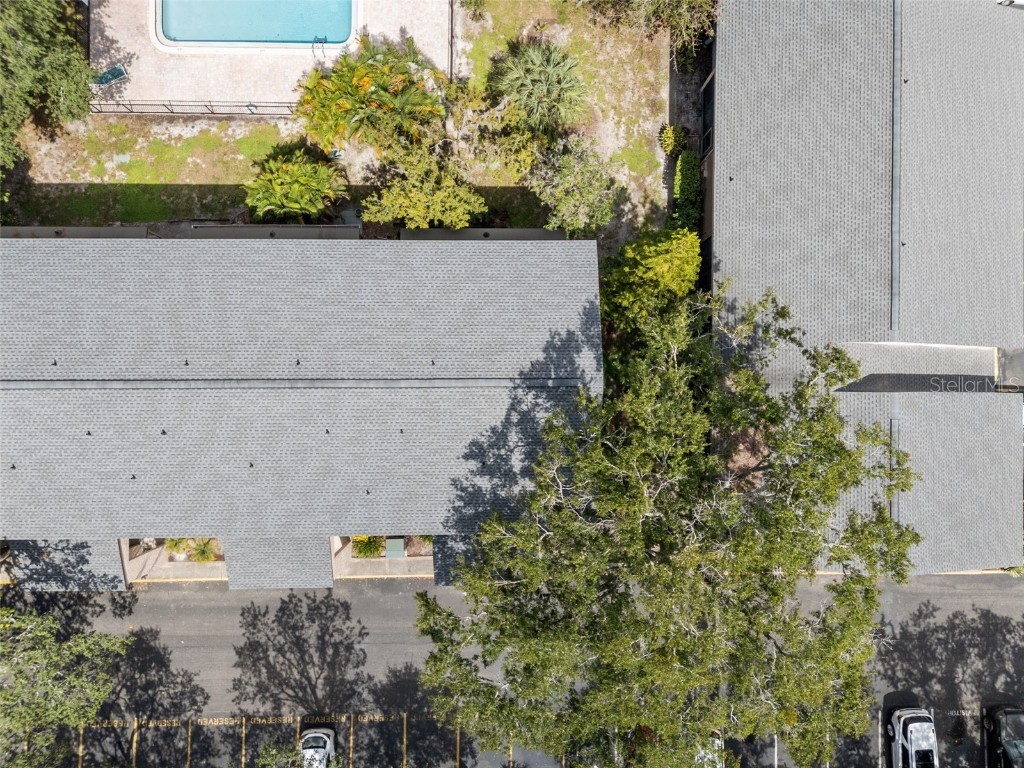 7505 Pitch Pine Circle #119 Tampa FL 33617 A4666550 image33