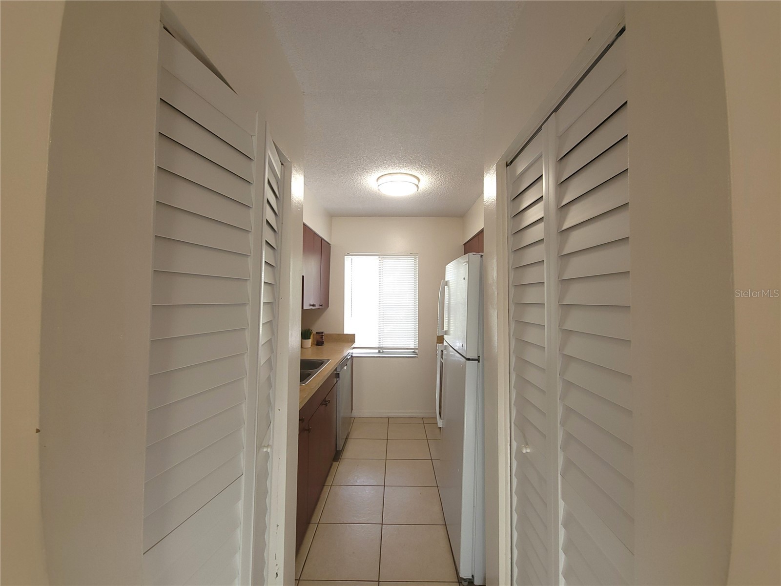 7505 Pitch Pine Circle #122 Tampa FL 33617 TB8507158 image11