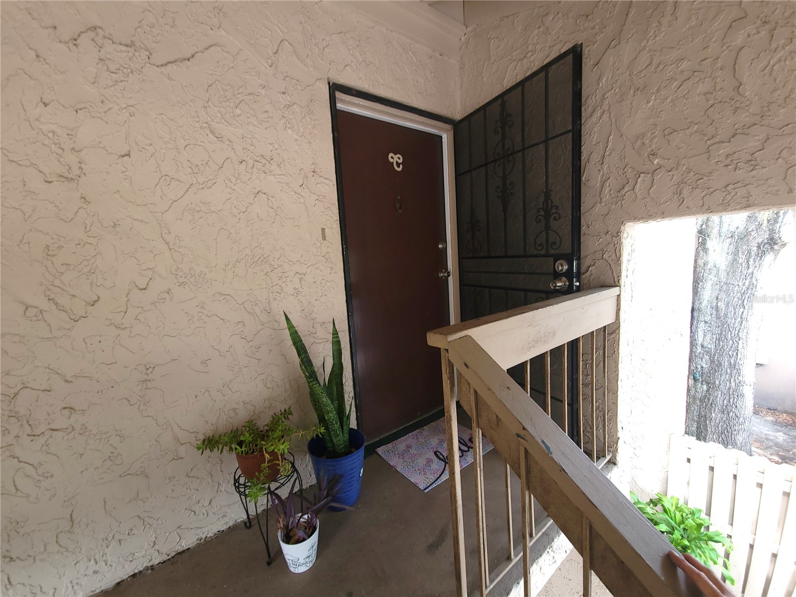 7505 Pitch Pine Circle #122 Tampa FL 33617 TB8507158 image2