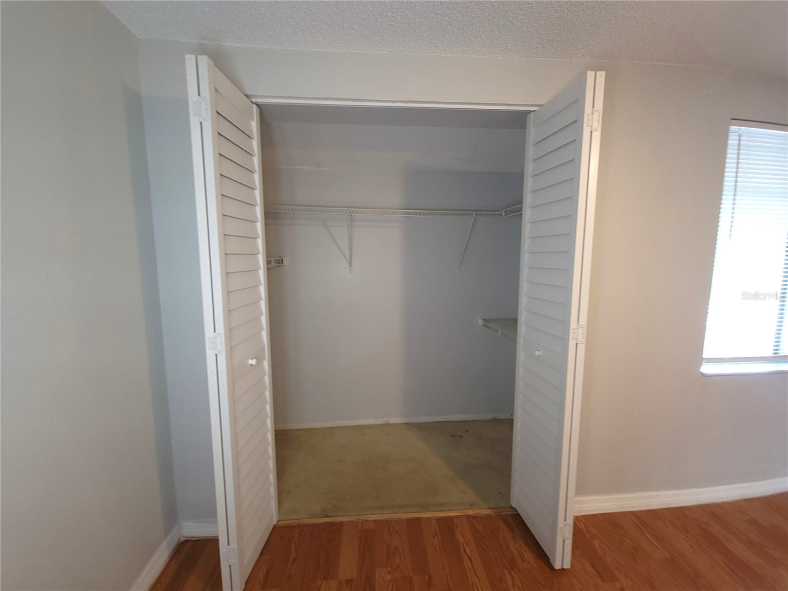 7505 Pitch Pine Circle #122 Tampa FL 33617 TB8507158 image33