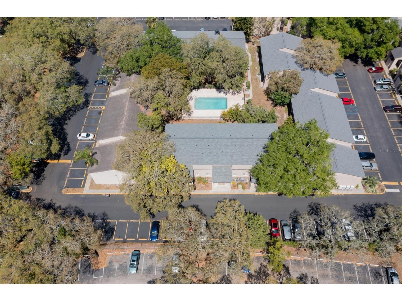 7505 Pitch Pine Circle #122 Tampa FL 33617 TB8507158 image5