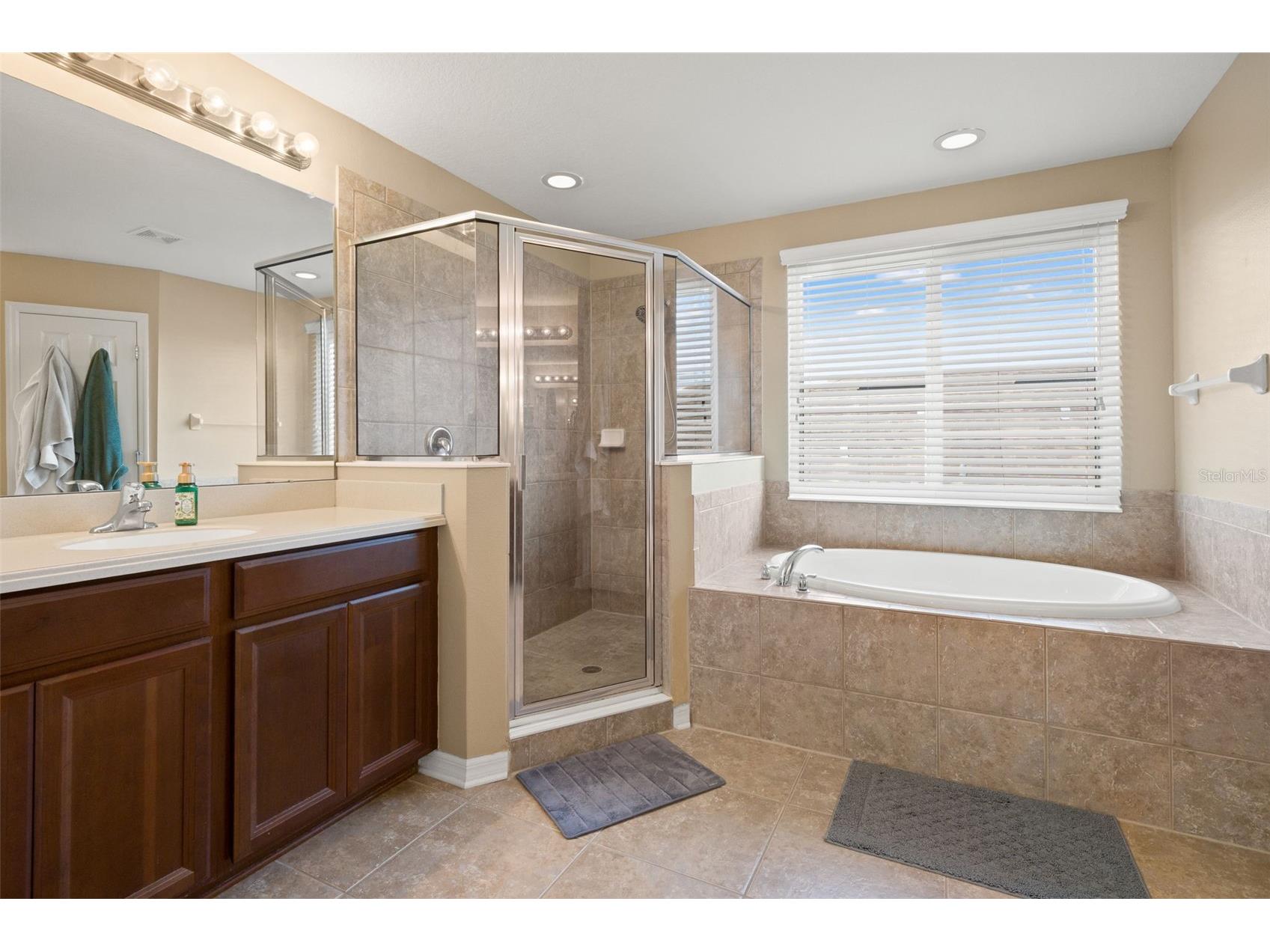 7506 Forest Mere Drive Riverview FL 33578 TB8482595 image20