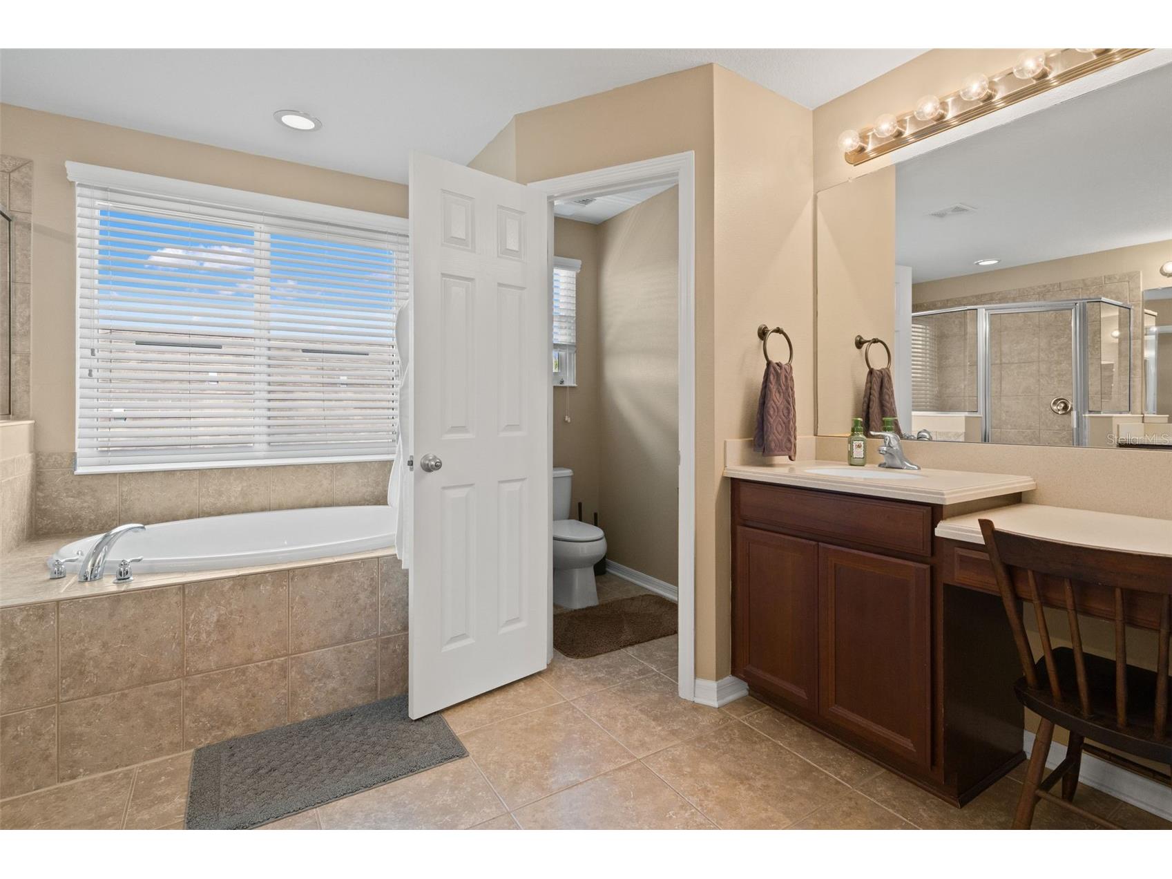7506 Forest Mere Drive Riverview FL 33578 TB8482595 image21