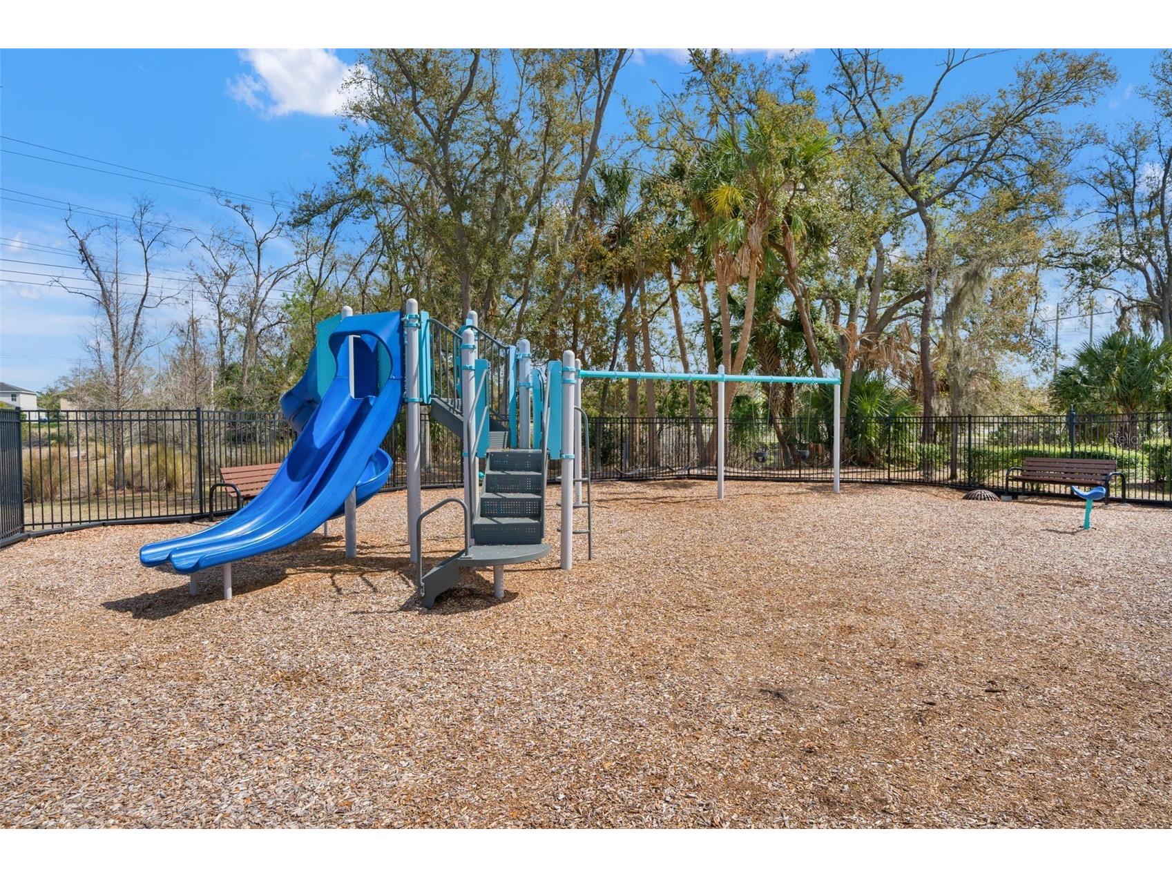 7506 Forest Mere Drive Riverview FL 33578 TB8506534 image5