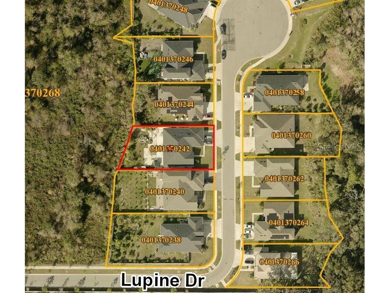 7506 Lupine Dr Tampa FL 33610 TB8509520 image8