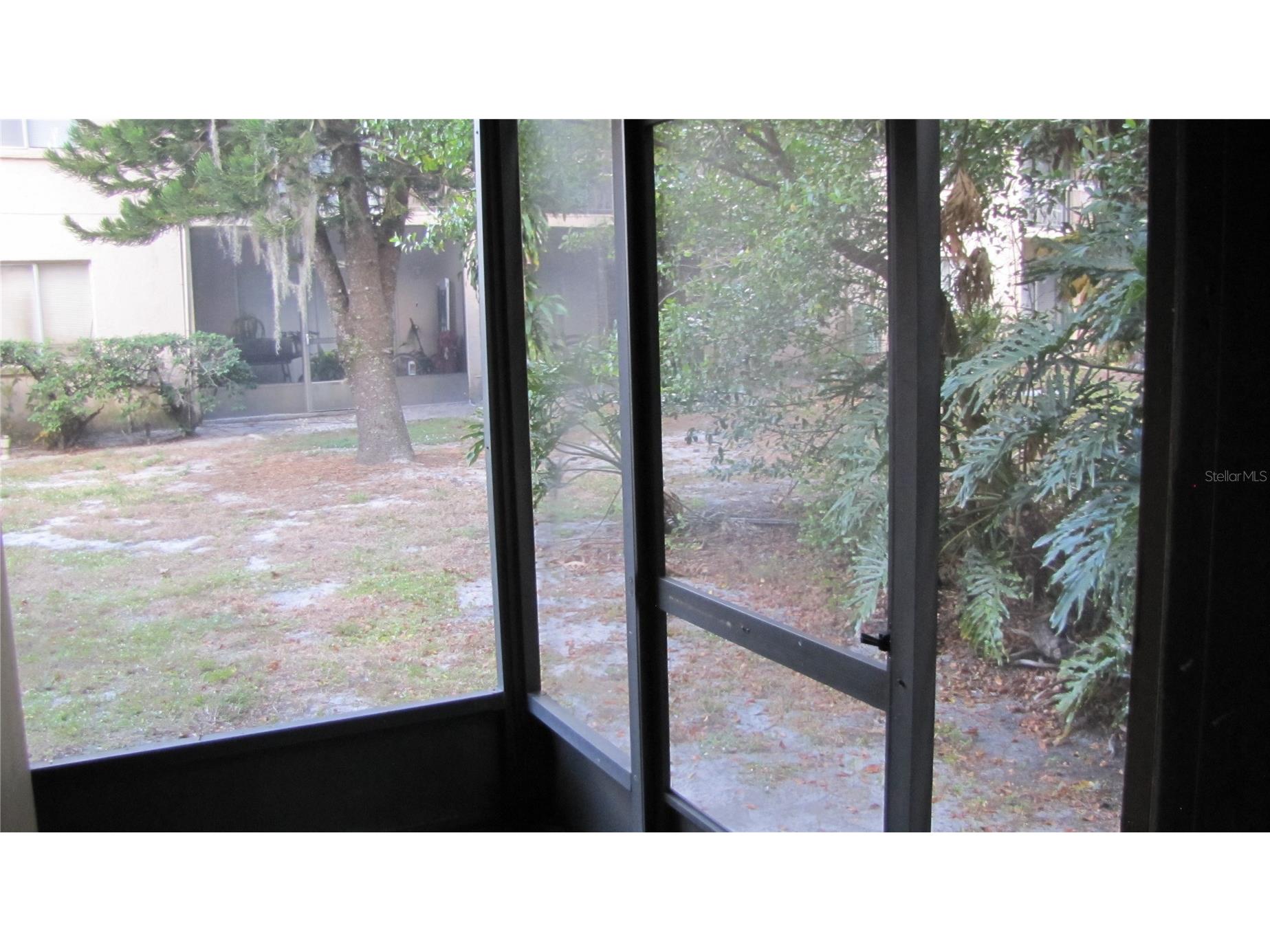 7506 Needle Leaf Place #56 Tampa FL 33617 TB8500705 image11