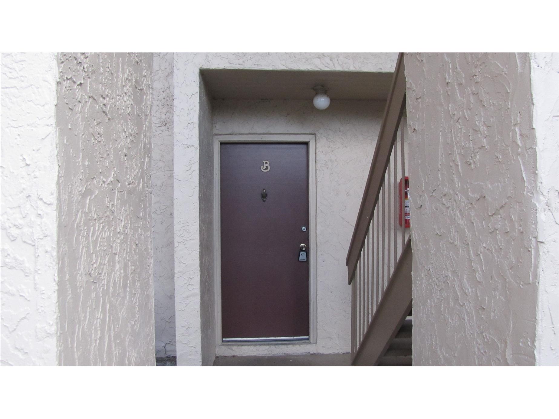7506 Needle Leaf Place #56 Tampa FL 33617 TB8500705 image2