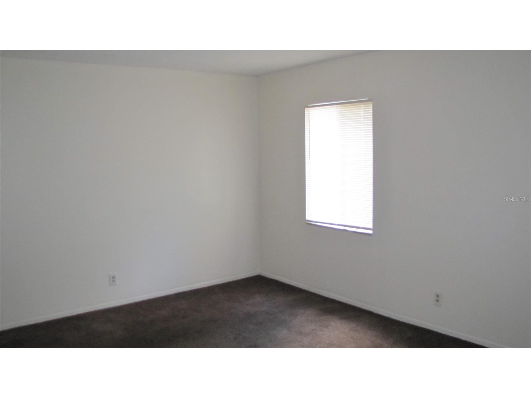 7506 Needle Leaf Place #56 Tampa FL 33617 TB8500705 image7