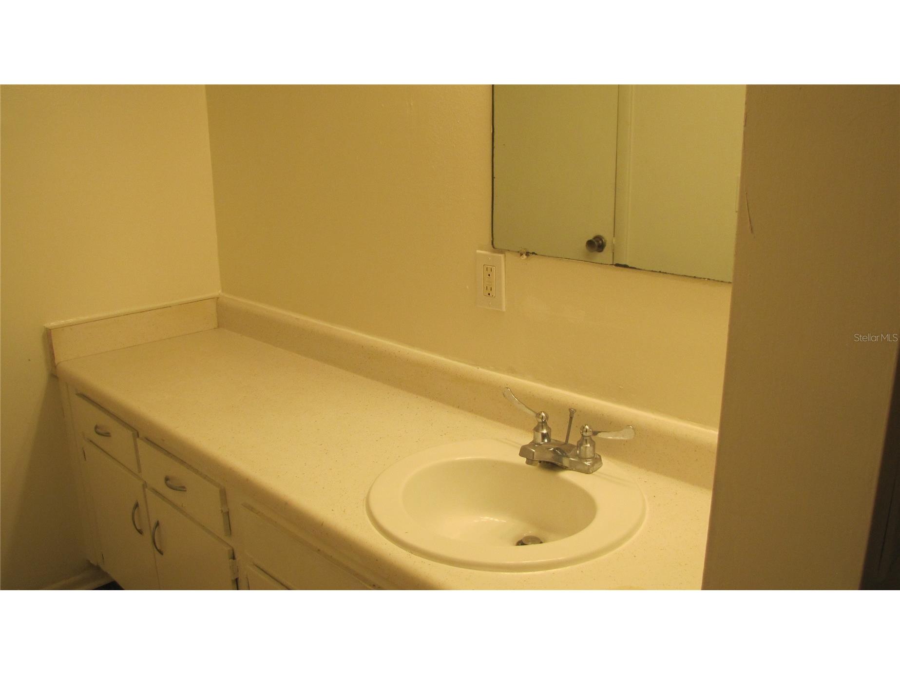 7506 Needle Leaf Place #56 Tampa FL 33617 TB8500705 image8