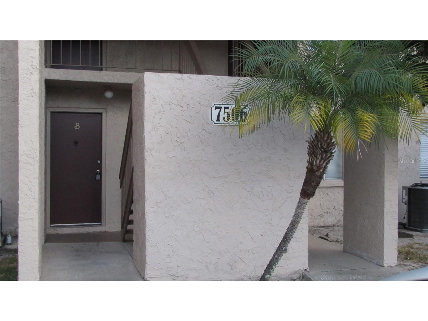 7506 Needle Leaf Place #B Tampa FL 33617 T3486142 image1